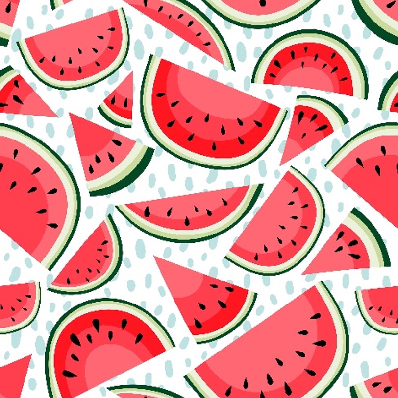 Watermelon Slices Swedish Dishcloth