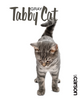 Tabby Kitten  Swedish Dishcloth